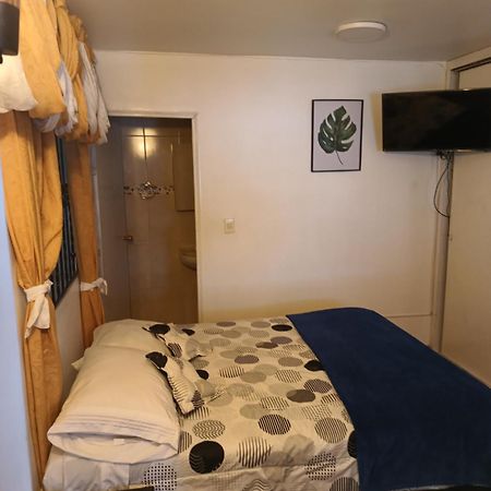 Noras Homestay Laureles Medellín Exteriör bild